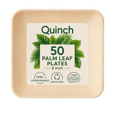 Imagem de QUINC Pratos de jantar quadrados de 20 cm | Pratos de cerâmica duráveis para jantar e servir | Conjunto de louça branca moderna | Pratos seguros para micro-ondas, lava-louças e freezer para casa