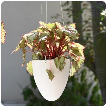 Imagem de Cachepot Suspenso Egg Autoirrigável