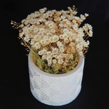 Imagem de Vaso decorativo Flores sempre Vivas - Viva Flores  Presentes
