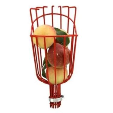 Imagem de Colhedor de Frutas Em Aço Sem Cabo 26cm Apanhador Sem Cabo