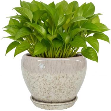 Imagem de Deep Dream Vasos de plantas de 15 cm - Vaso de cerâmica com orifício de drenagem e pires, vaso de flores redondo para suculentas internas e externas, plantas de cobra e cacto, bege