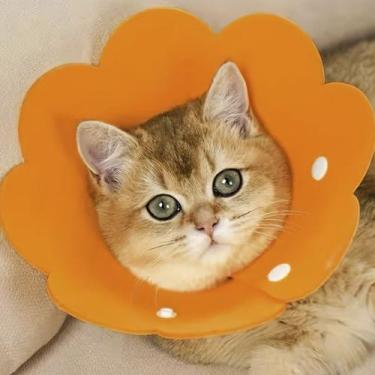 Imagem de Colar Elizabetano Pet Gato Caes Cirurgia Recuperaçao Cone Ajustavel Do