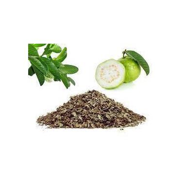 Imagem de Chá de Folhas de Goiabeira Desidratadas 30g - Psidium Guajava - no-bra