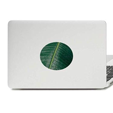 Imagem de Adesivo de laptop com estampa de folha de banana, imagem do mundo da natureza decalque para notebook