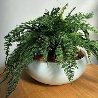 Imagem de Arranjo Completo de Samambaia Centro de Mesa Grande Vaso Branco