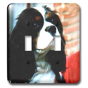 Imagem de 3dRose Cavalier King Charles Spaniels - Interruptor duplo (lsp_981_2), varia