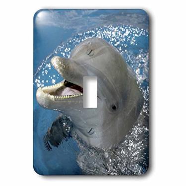 Imagem de 3dRose LLC lsp_86554_1 Atlantic Bottlenose Dolphin, Roatan, Honduras Sa12 Fvi000m Franklin Viola Interruptor único