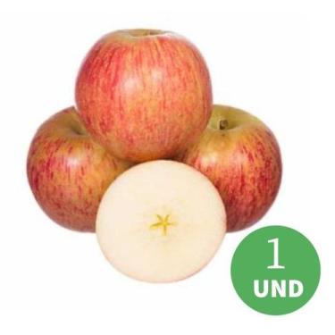 Imagem de Mudas de Maçã Fuji Climas Frios Enxertada - no-brand