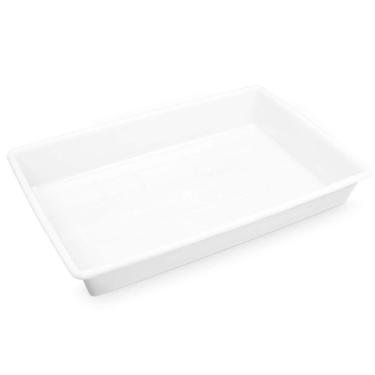 Imagem de Bandeja De Plastico Retangular Branca 17l Plasvale - 60x40x9cm (cxlxa) Branco
