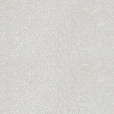 Imagem de Papel de Parede Classici 4 Textura Cinza 4A095414R