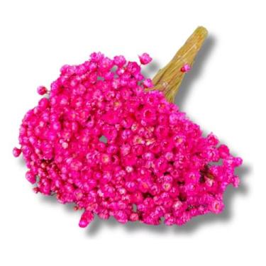 Imagem de Flores Sempre Viva 1.500 Un. Colorido Decoração Lembrancinha - INSPIRA