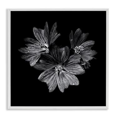 Imagem de Stupell Industries Design de arte de parede giclée emoldurado trio de flores em preto e branco por Brian Carson, 12 x 12