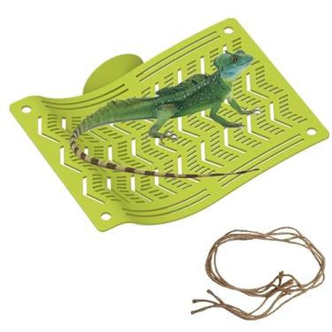 Imagem de Rede de dragão barbudo 2 em 1 com ventosas, redes de lagarto de sapo de plástico, suporte giratório para camaleão, lagartos, lagartixas, cobras, liguana, répteis e decoração de habitat anfíbio (verde