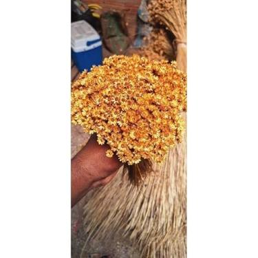 Imagem de Flor Sempre-Viva Natural Desidratada Kit 300 600 1200 Flores – Decoração Festa Casamento e Arranjos Artesanais (Amarelo ouro(dourado),150 flores (1 buquê))