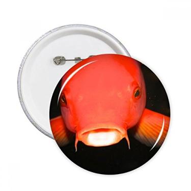 Imagem de Broche redondo de animal de peixe vermelho de peixe marinho com emblema de botão para decoração 5 peças