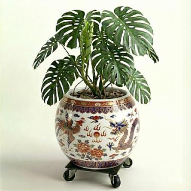 Imagem de Genérico, Barro/Terracota, Vaso Redondo, Branco, 12x11x7 cm, Acabamento Brilhante, Vaso de Plantas, Vaso de Chão, Recipiente para Plantas, Elegância para seu Lar