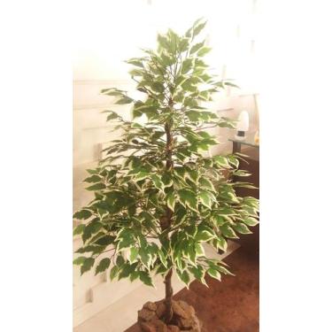 Imagem de Planta Artificial Árvore FICUS VARIEGATA 1,30 metros de altura - Flora