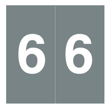 Imagem de Doctor Stuff - File Folder Labels, Number 6, S & W KKL Match - SWNM Series Chart Stickers, Gray, 1-1/2" x 1-1/2", #6, 500/Roll