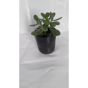 Imagem de Vasos Embalagens Flexíveis para plantas e mudas 1 Litro kit com 50 unidades