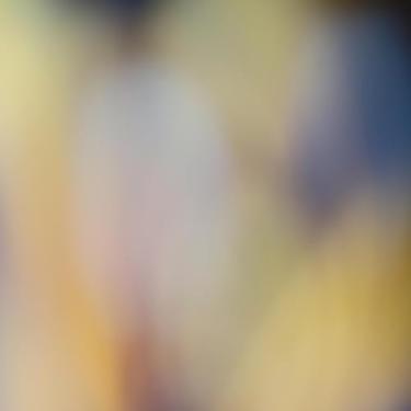 Imagem de Quadro Decorativo Abstract Minimal Gradient Background Design - Arte Moderna para Parede 50x50cm