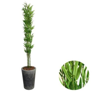 Imagem de Bambu Artificial Com Vaso Polietileno 160cm Decorativo Casa - - Intcom
