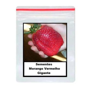 Imagem de 200 Sementes De Morango Gigante - SEEDS