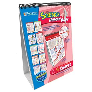 Imagem de NewPath Learning 10 Piece Human Body Science Curriculum Mastery Flip Chart Set, Grade 6-10