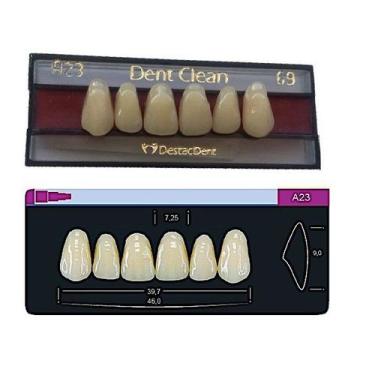 Imagem de Dente Dent Clean Anterior A23 Superior - Imodonto