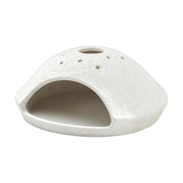 Imagem de WeiLaiKeQi Queimador de incenso de cerâmica, fragrância de meditação para inauguração de casa com sálvia, Branco