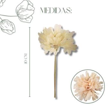Imagem de Buquê Folha De Magnólia Libélula Esqueletizada Cores - FLORA FULL, Alv