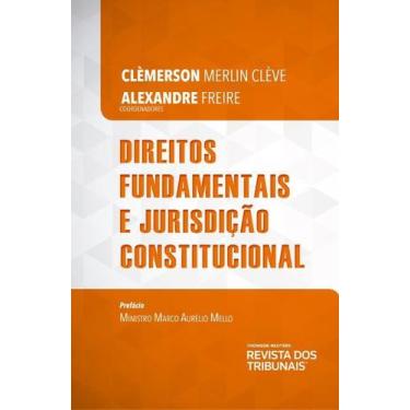 Imagem de Direitos fundamentais e jurisdição constitucional - Editora Revista do