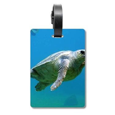 Imagem de Organização Marinha Tartaruga Oceano Animal Mala Etiqueta Bagagem Cartão Pendurado Etiqueta Scutcheon Etiqueta, Multicolorido.