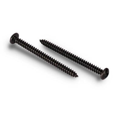 Imagem de Parafusos de madeira Venforze Black Head Stainless Steel 304 100 unida