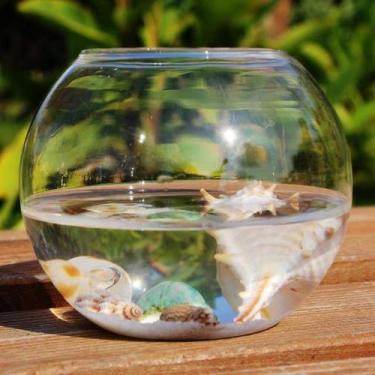 Imagem de Vaso Aquário Redondo De Vidro 800ml Decoração Casamentos - Nova