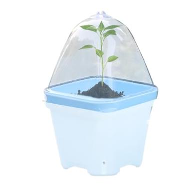 Imagem de Cúpula de umidade para mudas | Cloche de cobertura de plantas transparente - Tampa de isolamento térmico de 10 x para vaso de berçário, controle de umidade à prova de chuva