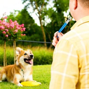 Imagem de Apito silencioso ajustável para cães, ferramenta de treinamento ultrassônico de alta frequência para obediência de animais de estimação, treinador profissional de várias frequências (azul)