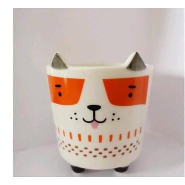 Imagem de Vaso de suculenta decorativo - Rose Garden 