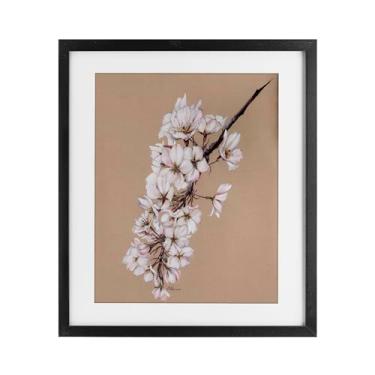 Imagem de Stupell Industries Impressão emoldurada delicada primavera flores de maçã preta sob vidro, design por Cady Driver, 16 x 13