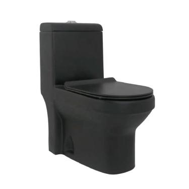 Imagem de Vaso Sanitário Monobloco Prizi Cerâmica com Kit Completo e C