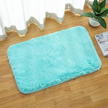 Imagem de SHENGANG Tapetes felpudos antiderrapantes tapete de banho de banheiro sala de estar tapete de sala de jantar tapetes e carpete para casa decoração do quarto tapete de chuveiro, azul claro, 40x60cm