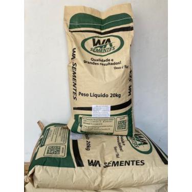 Imagem de Semente  de capim Brachiarão Marandu  - WA Sementes 