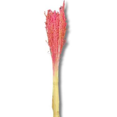 Imagem de Buquê Flor De Vassoura Cores Natural Arranjo Decoração Festa - Flora F