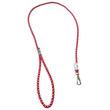 Imagem de Guia Tradicional em Cor:Neutro