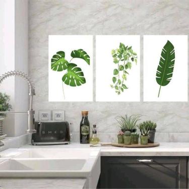 Imagem de Kit 3 Quadros Decorativos Minimalistas Plantas 24X18Cm Vidro