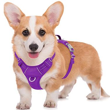 Imagem de BARKBAY Arnês para cães sem puxar, grande passo em peitoral refletor para cães com clipe frontal e alça de fácil controle para caminhada, treinamento, corrida com bolso para etiqueta de identificação (roxo, M)