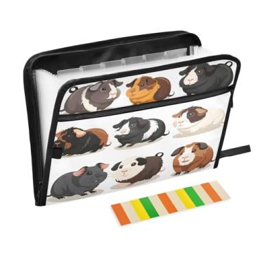 Imagem de CEBUGI Pasta expansível com 13 bolsos, organizador de arquivos sanfonado à prova d'água com etiquetas tamanho A4, organizador de documentos de papel para escola, material de escritório