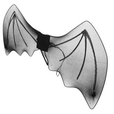 Imagem de Asas De Morcego Cachorrinho De Morcego Asa De Morcego Simulada Kits De Enfeites Para Crianças Asa De Vestido Preto Roupa Preta Filho Diabo Bicho De Estimação Poliéster