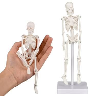 Imagem de Ultrassist Mini Human Skeleton Model, Portable 20cm Skeleton Bone Model, Great Teaching Tool for Physiological Education and Human Skeletal System Study