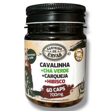 Imagem de Cavalinha, hibisco, chá verde e Carqueja - Canteiro de ervas