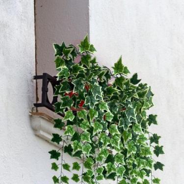 Imagem de Conjunto 5 Pendentes Artificiais: Adicione um Toque de Verde com Plant